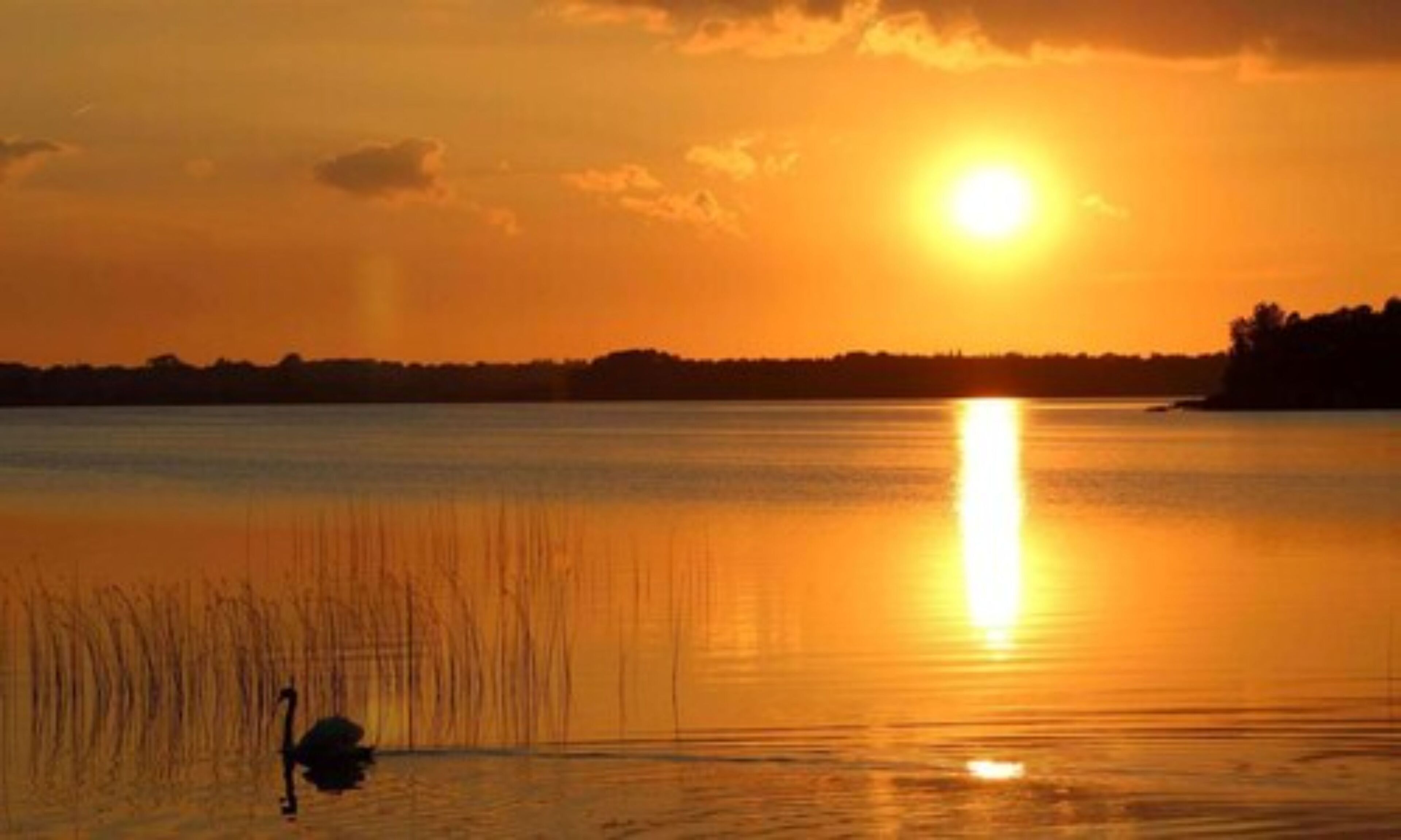 A sunset over a calm lake with a silhouette of trees in the distance.