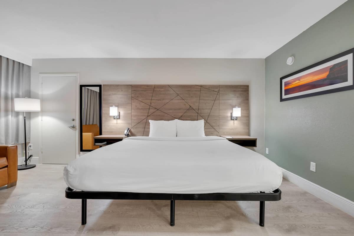 Suite, 1 King Bed, Non Smoking, Hot Tub | Premium bedding, pillowtop beds, in-room safe, desk