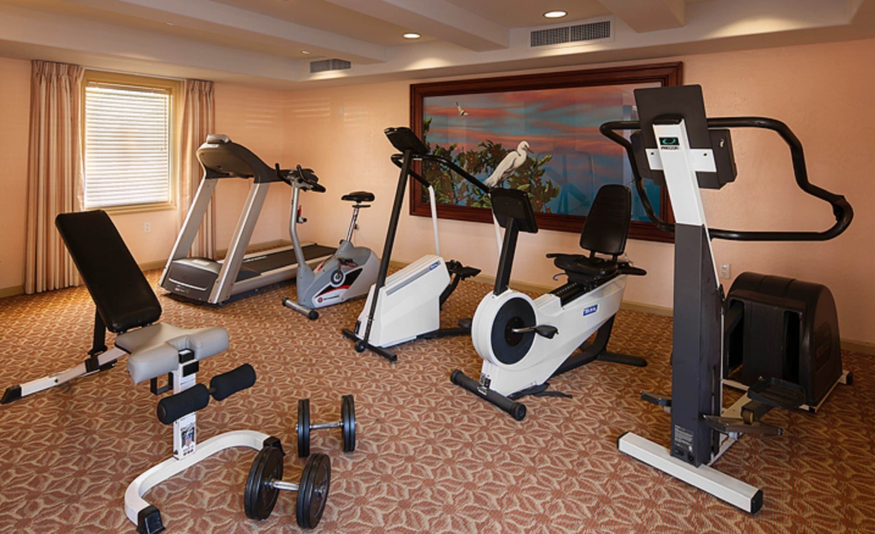 Uma sala de ginástica de hotel com esteiras, bicicletas ergométricas, uma máquina de remo e halteres.