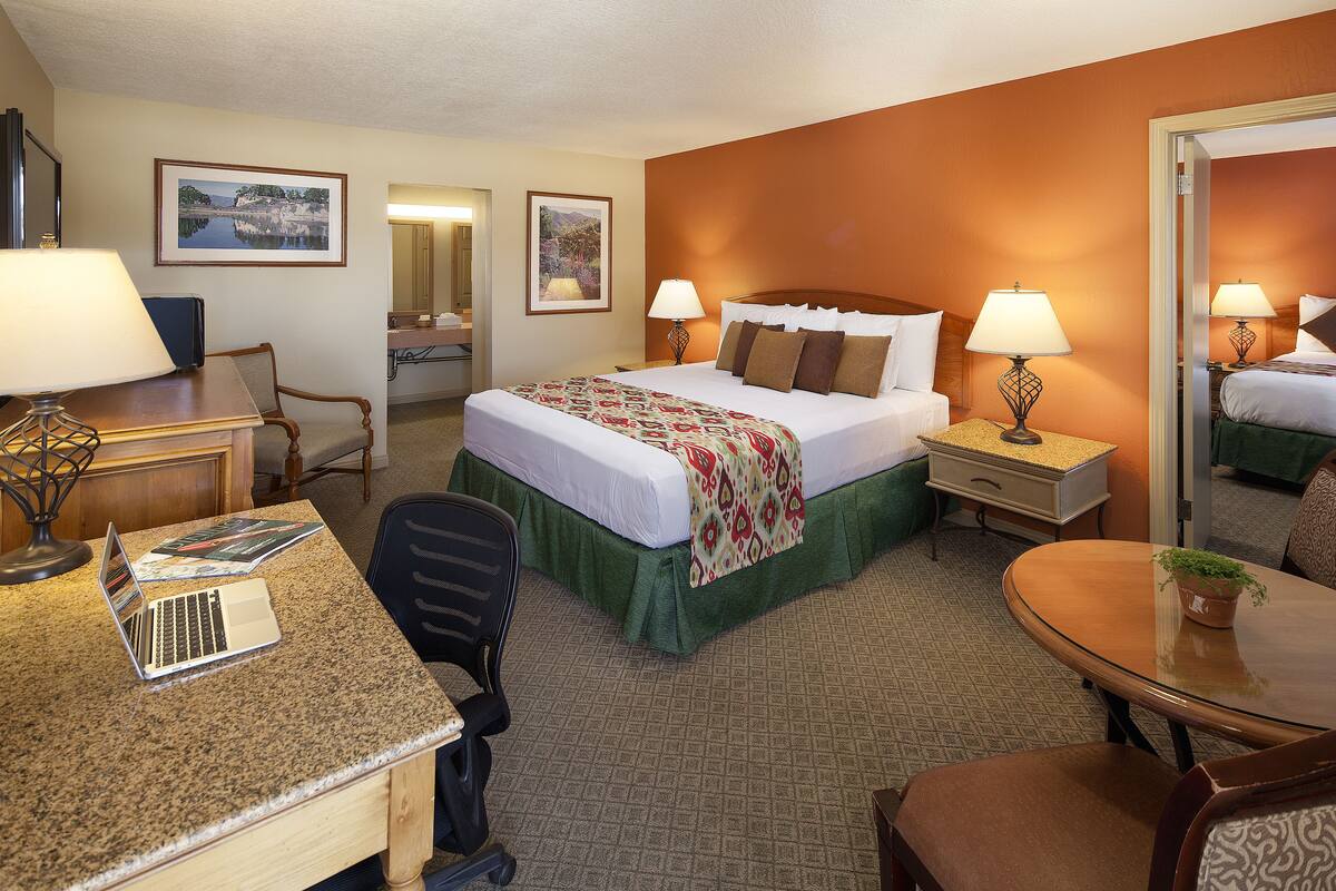 A hotel room with a bed, desk, chair, and a small table with a plant.