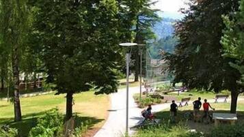 En stig som går genom en park med träd och bänkar.