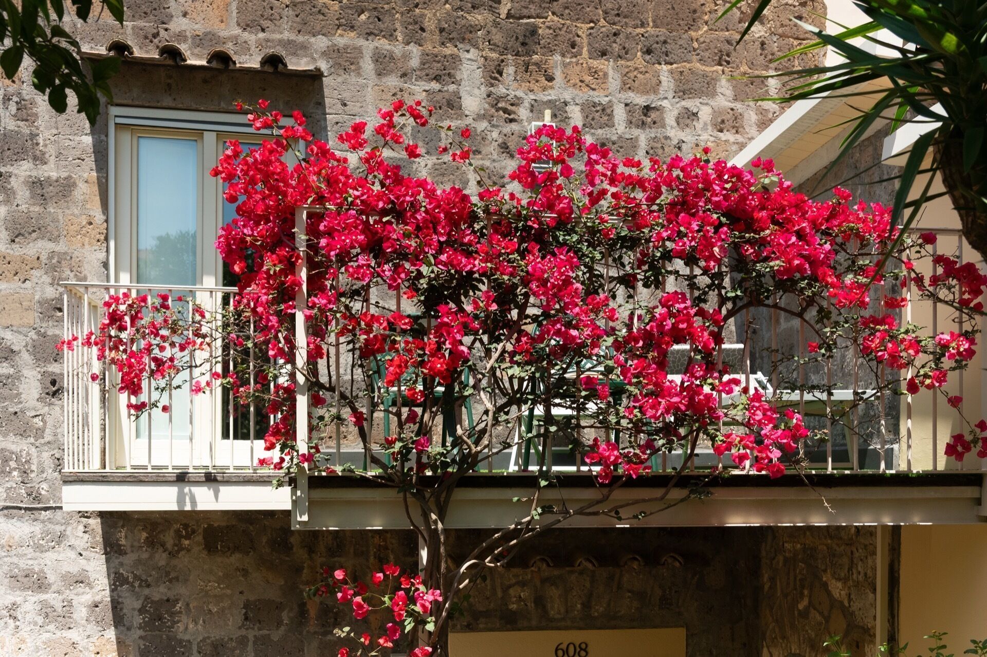 Un edificio con un balcón cubierto de flores rojas vibrantes, fachada de piedra y el número '608' visible.