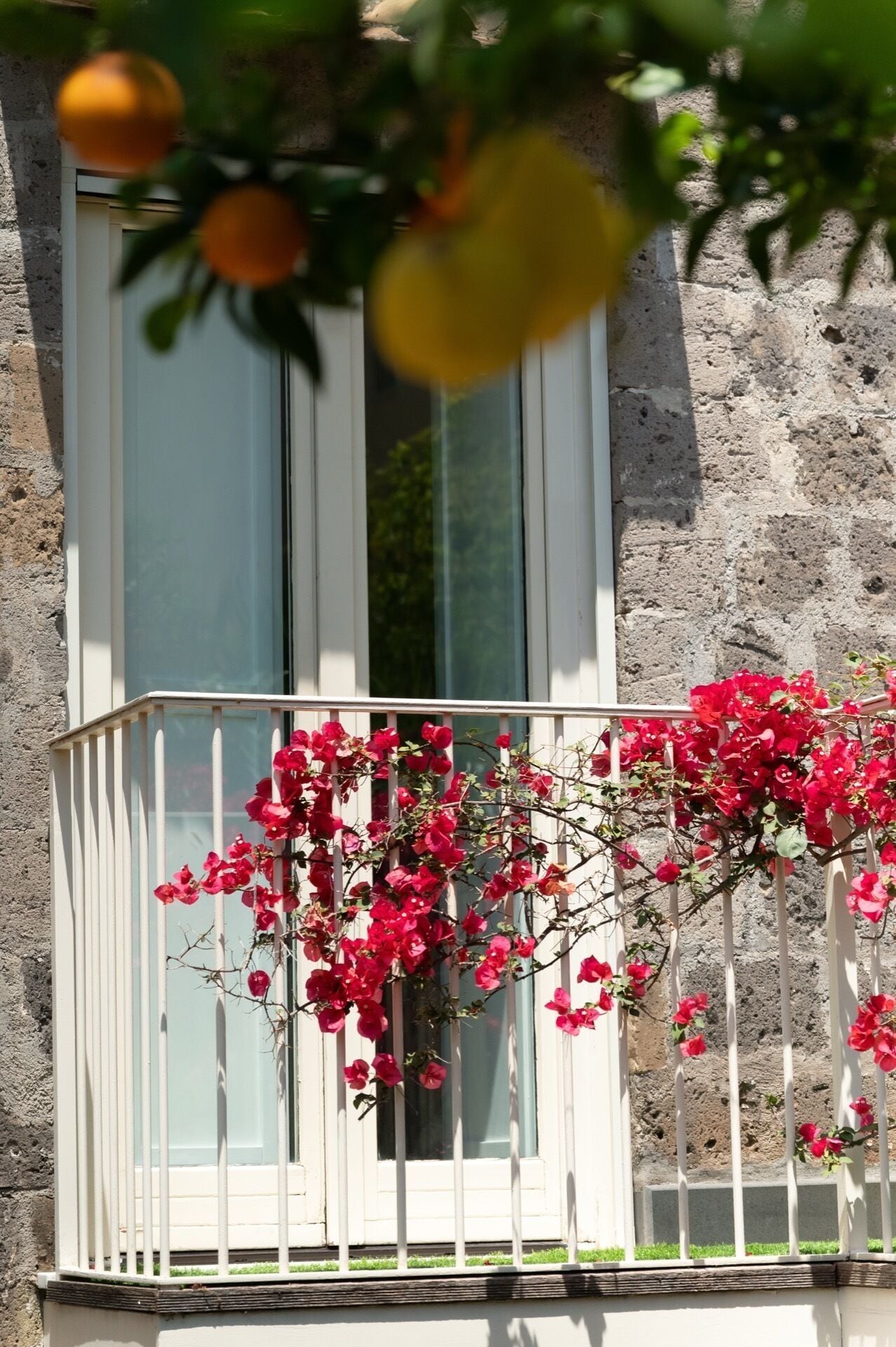 A balcony with white railings and red flowers.