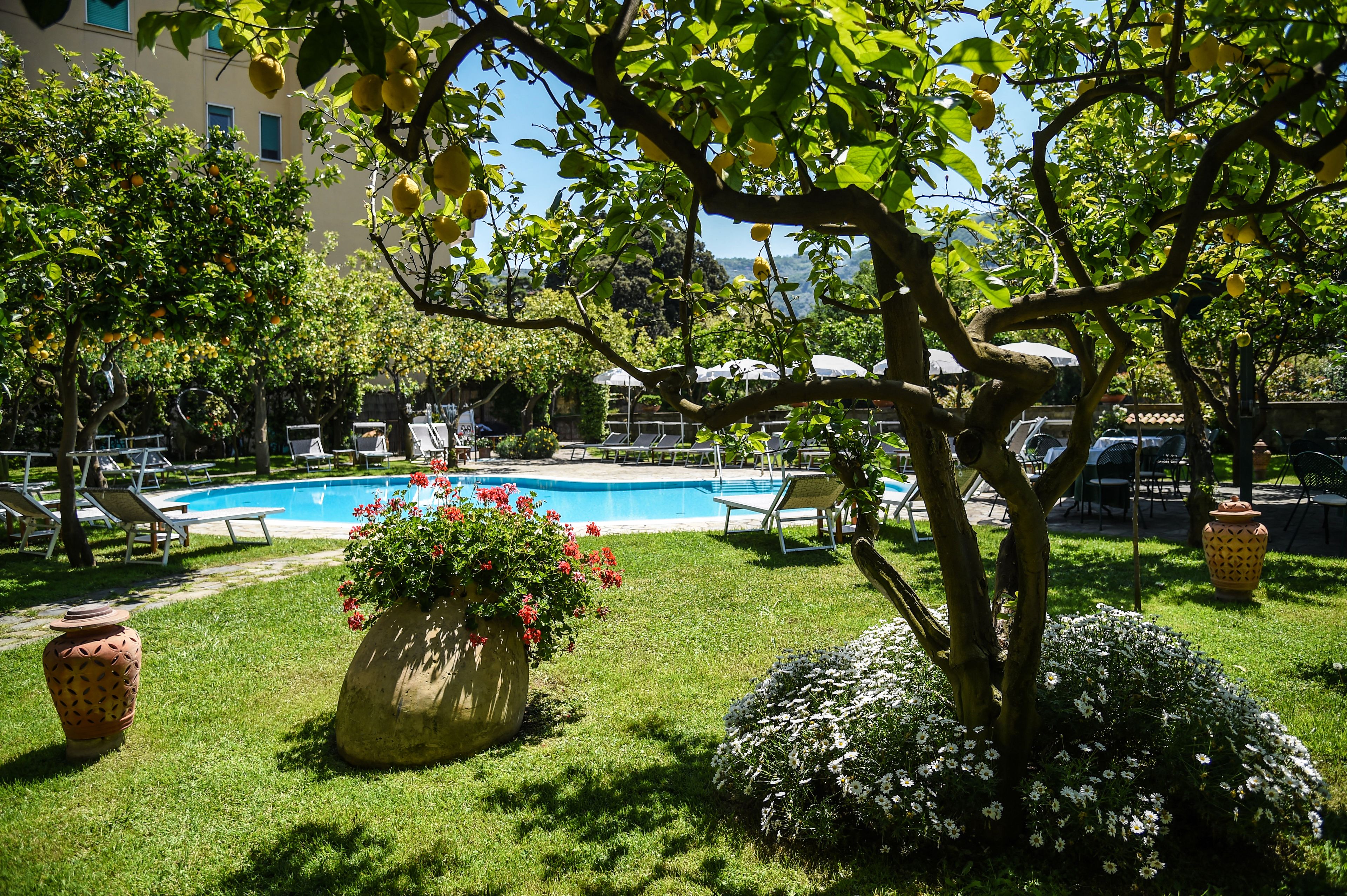 Un espace piscine avec des chaises longues, un grand pot de fleurs et un arbre.