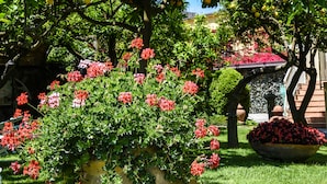 Un jardin avec des fleurs rouges et un grand pot jaune.