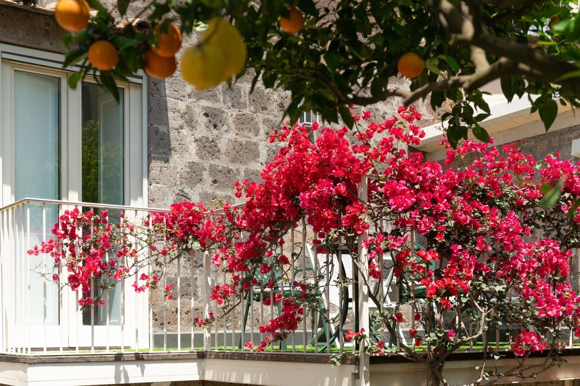 Foto - Hotel Antiche Mura