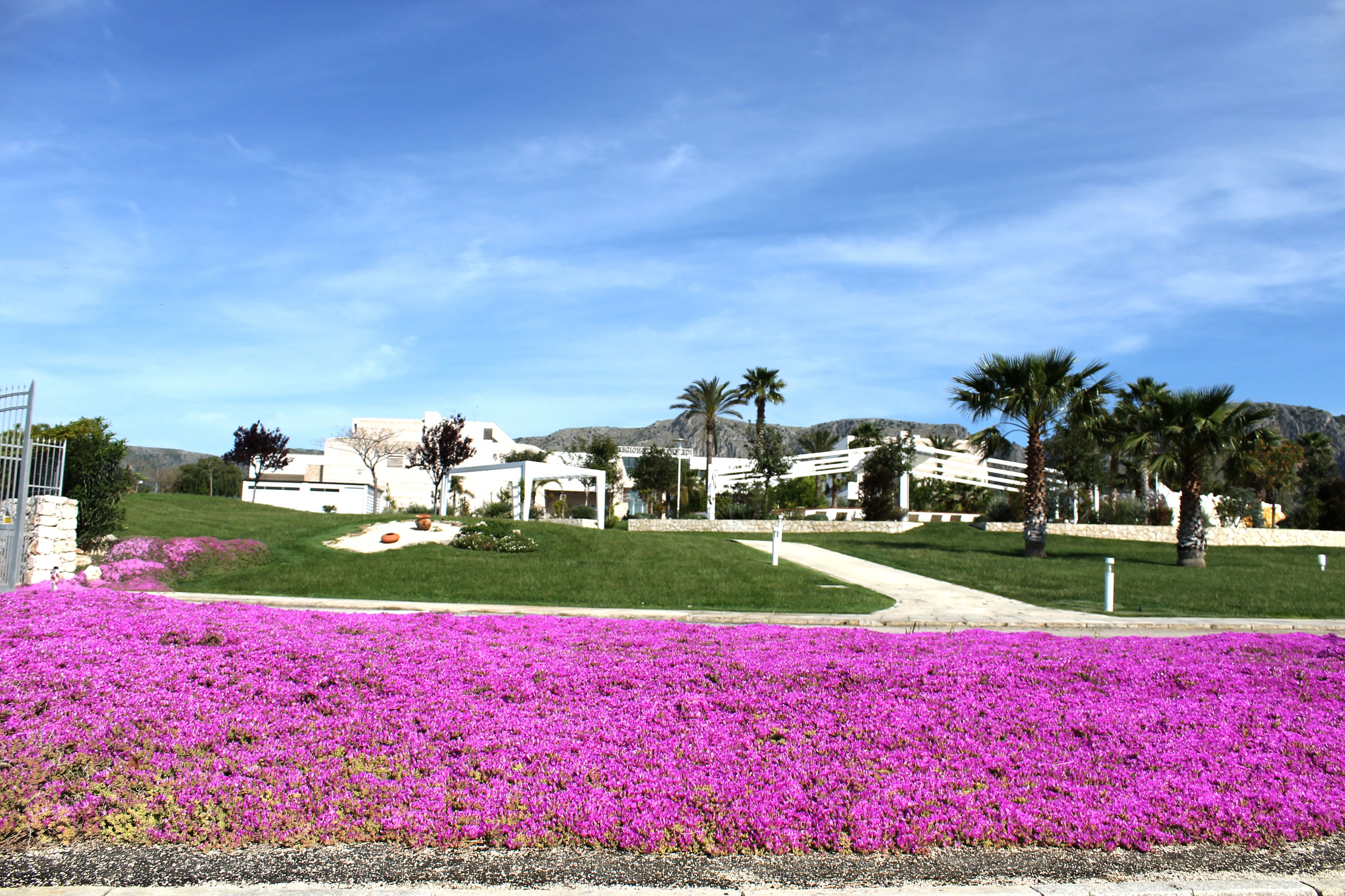 A landscaped area with a flower bed and a pathway leading to a building with a white facade and multiple windows.