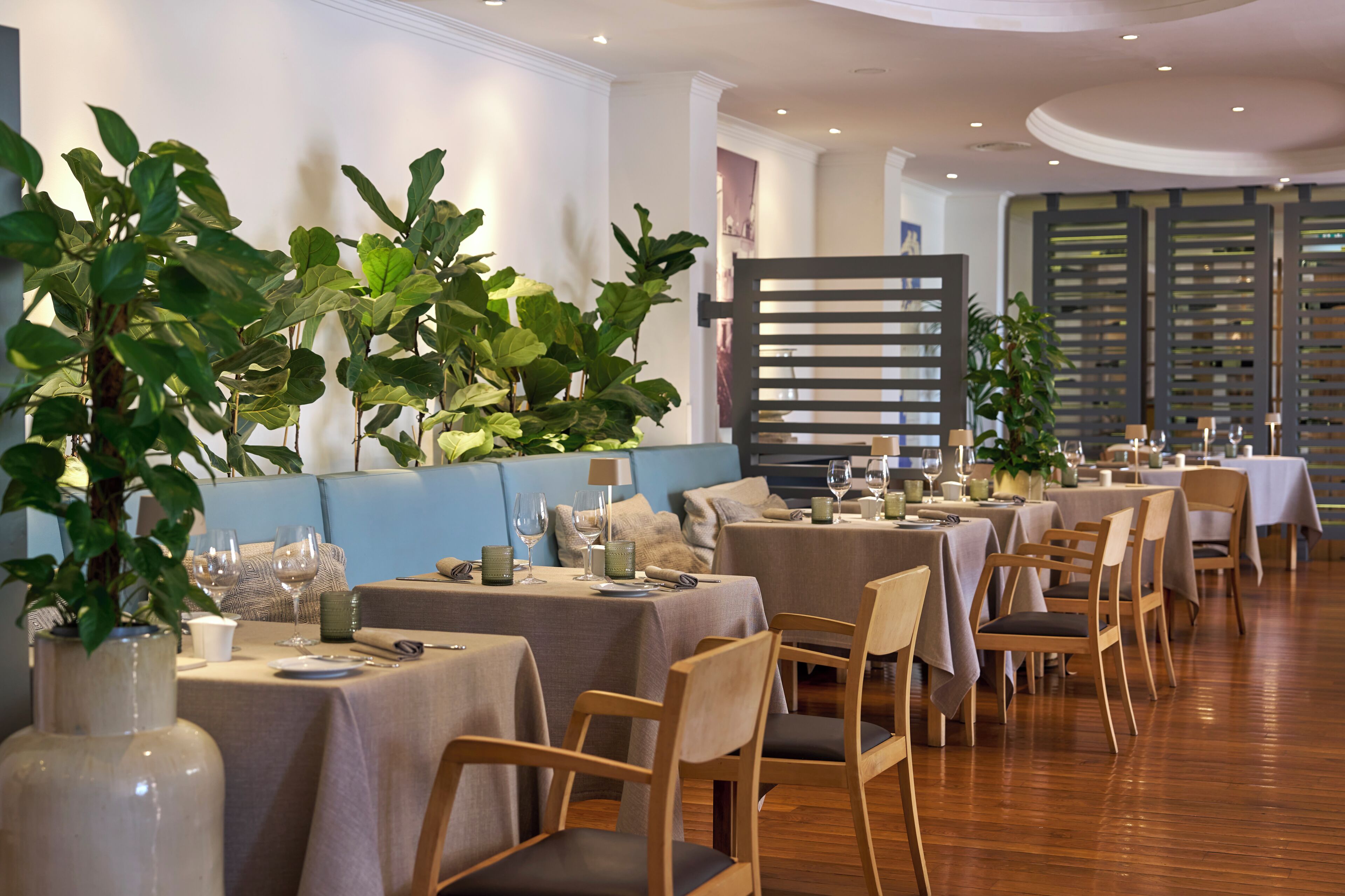 A restaurant with multiple tables, chairs, and potted plants.