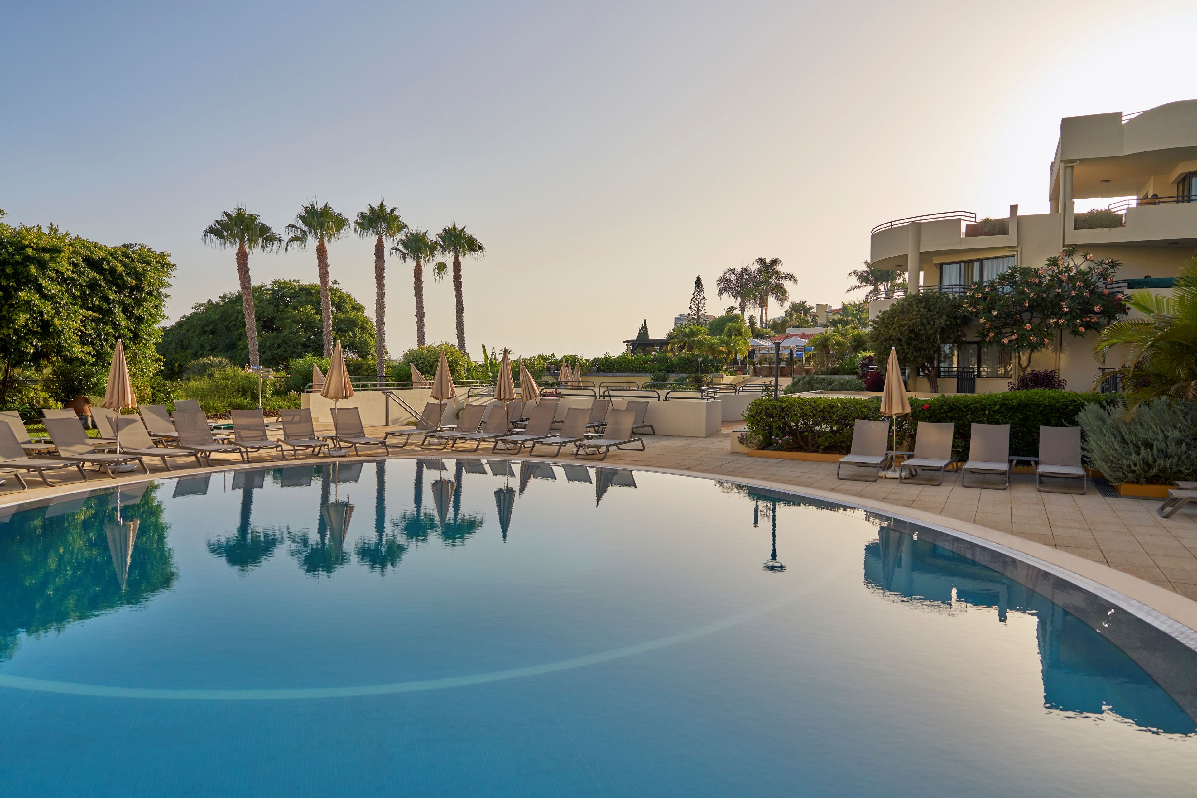Una piscina con sillones de descanso y palmeras.
