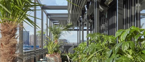 Rooftop terrace