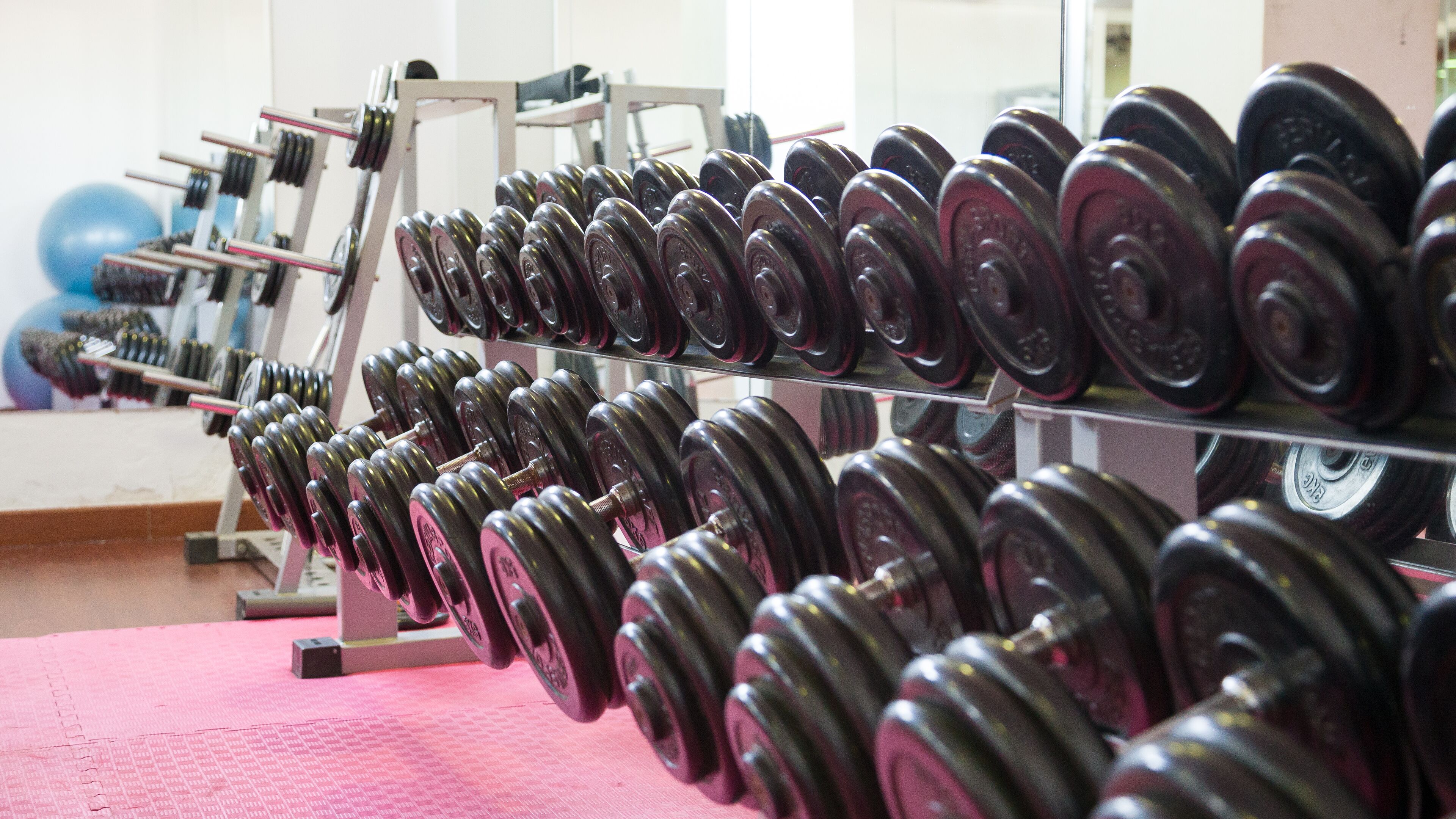 Une salle de sport avec des rangées d’haltères sur des supports.