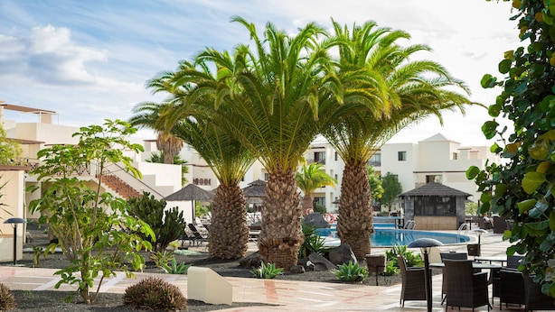 A poolside area with palm trees, lounge chairs, and a swimming pool. - Vitalclass Lanzarote Resort (Teguise)