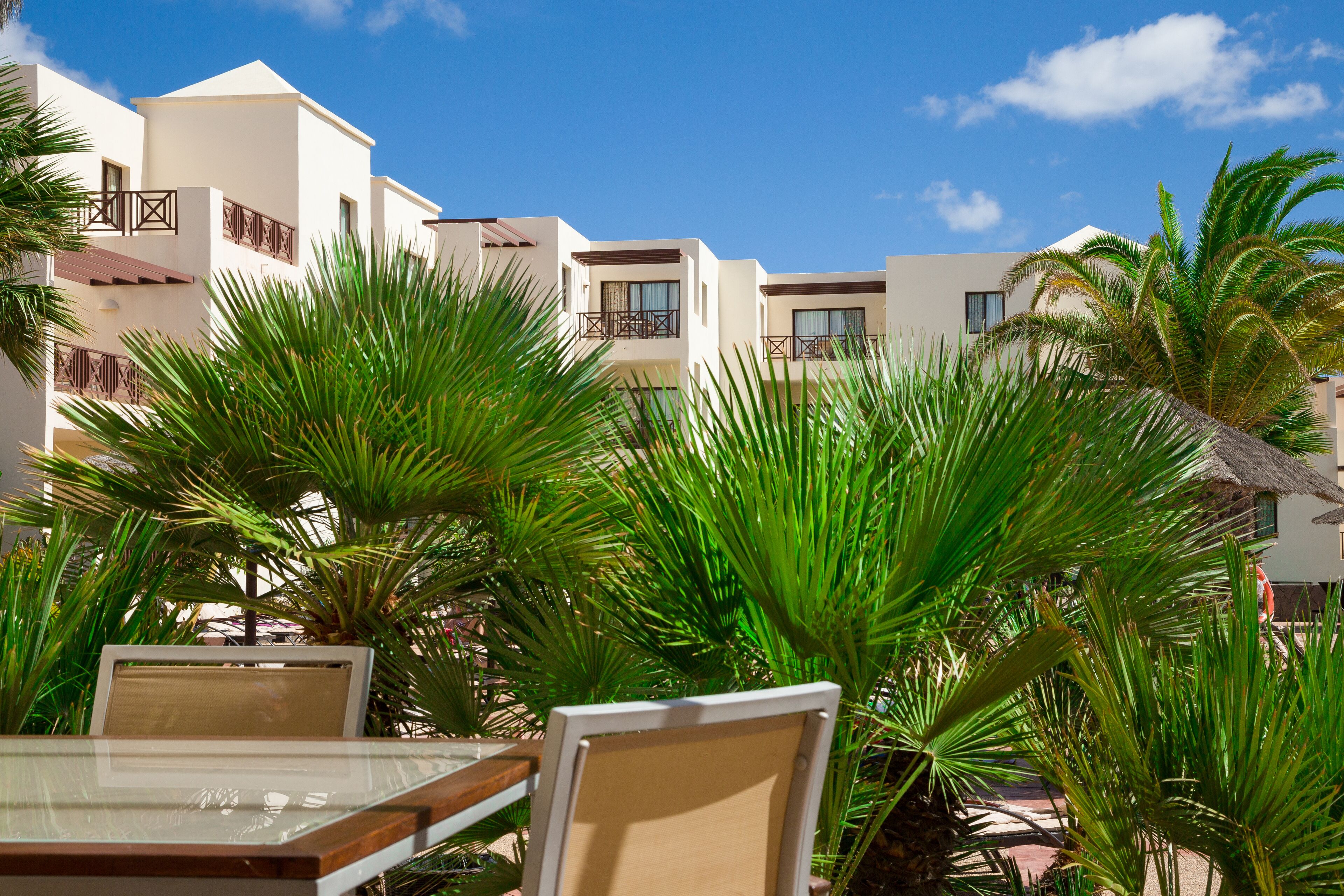 Un resort con edificios modernos, palmeras y asientos al aire libre.
