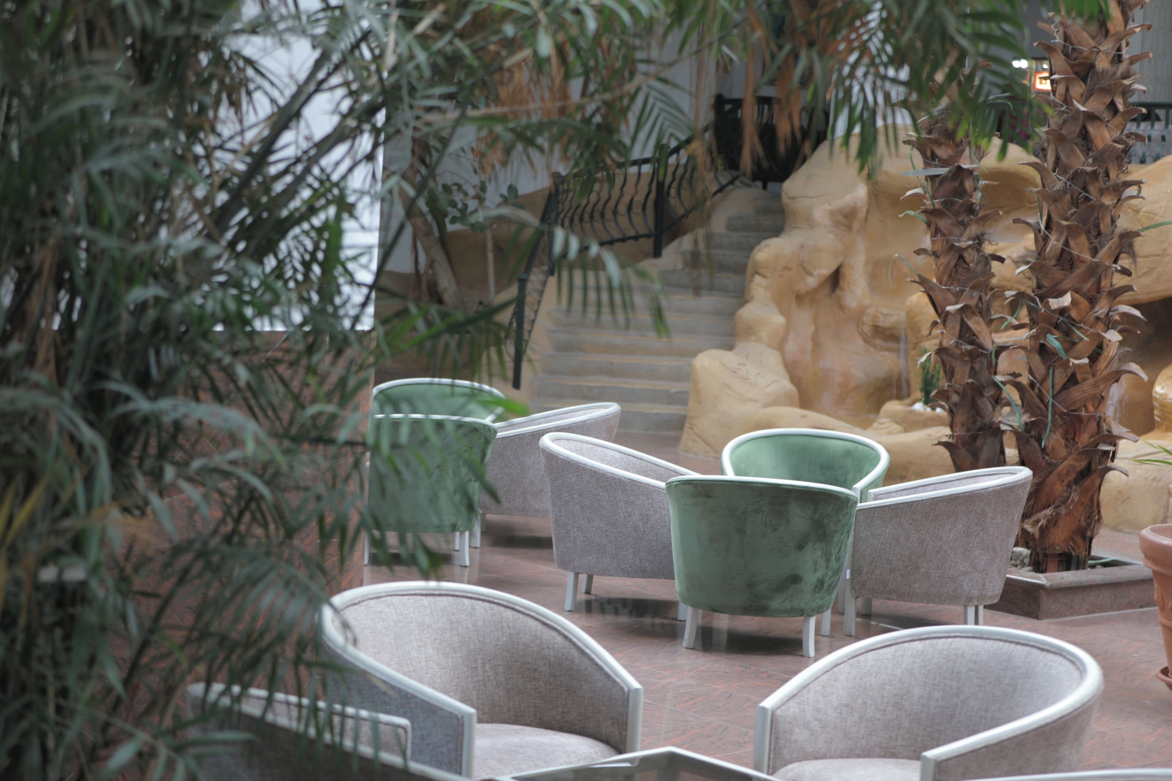 A seating area with chairs and a palm tree.
