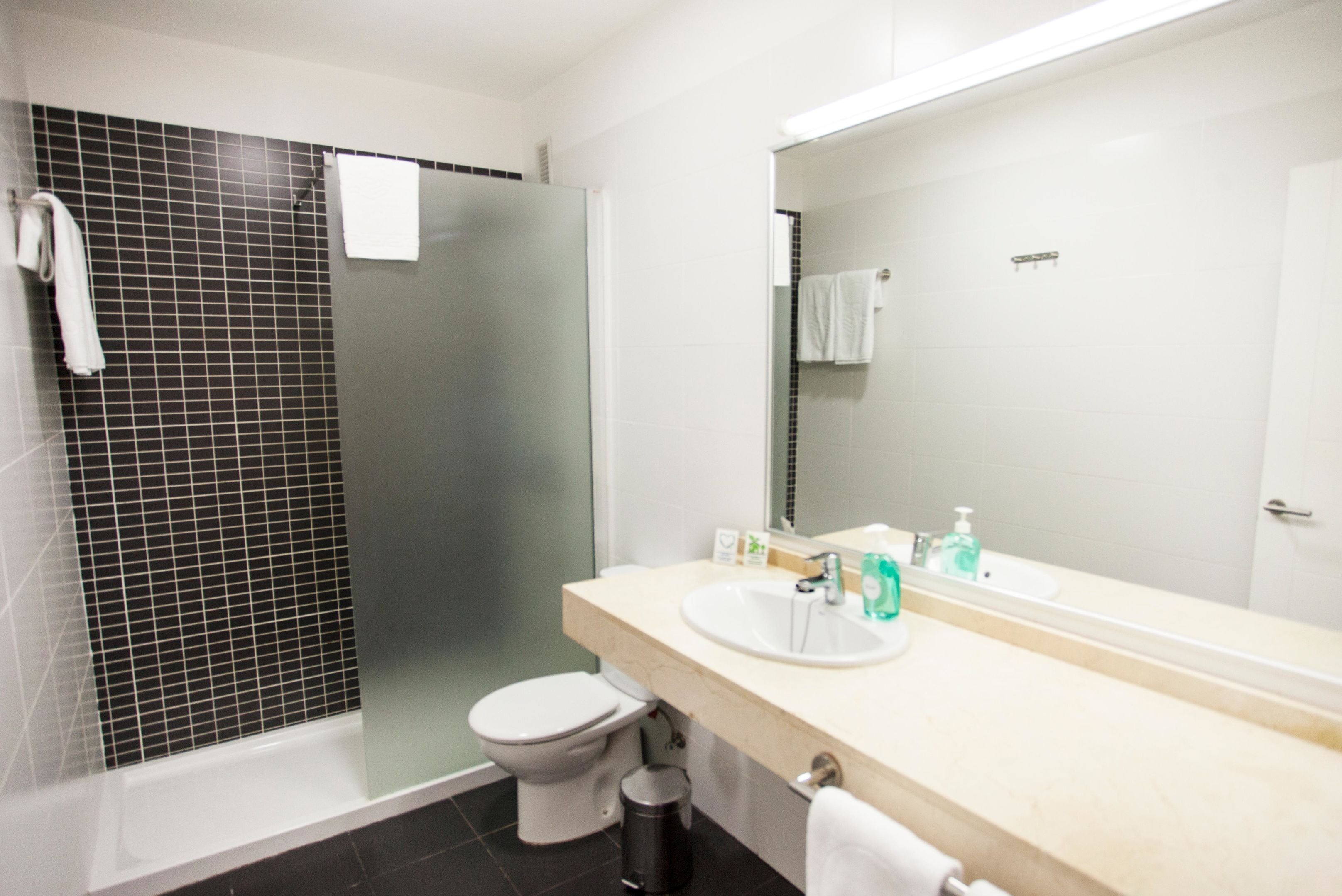 Une salle de bain moderne équipée d’une douche, de toilettes, d’un lavabo et d’un miroir.