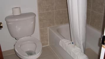 Combined shower/tub, hair dryer, towels