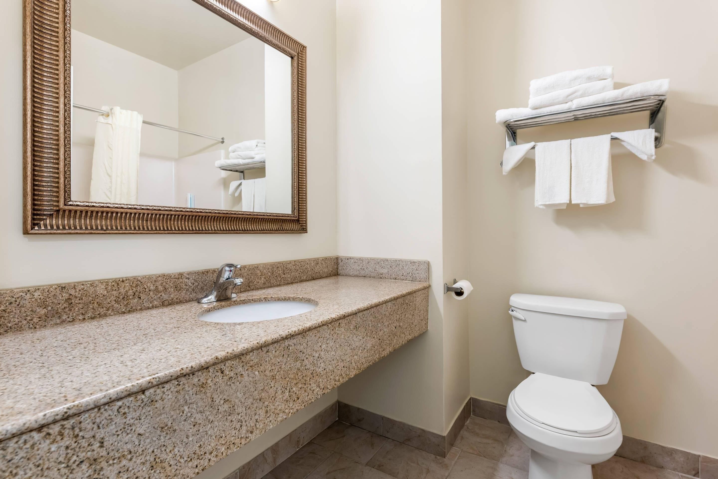 A bathroom with a granite countertop sink, a white toilet, a wall-mounted towel rack, and a mirror with a decorative frame.