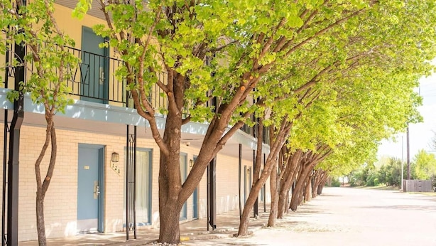 A row of trees lining a building with a blue door and a number "120" sign.