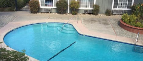 Una piscina residencial con borde curvo, rodeada por una terraza de concreto.