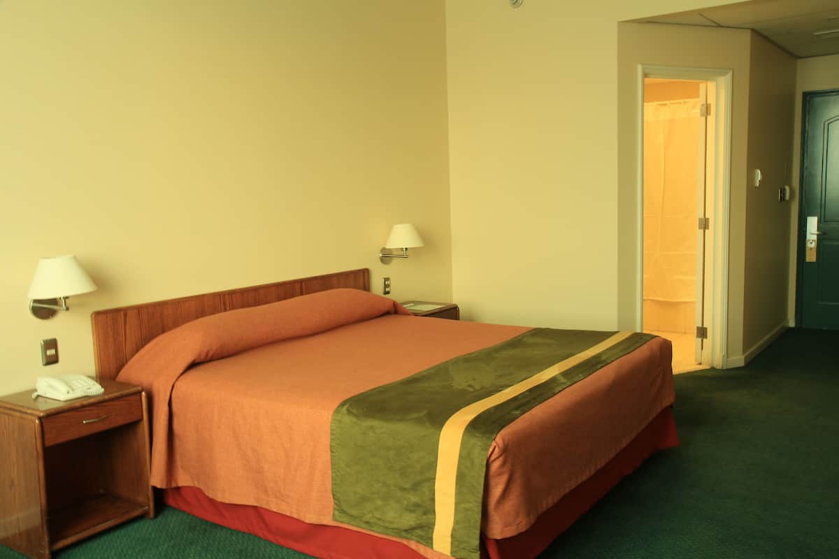 Double Room, 1 Double Bed