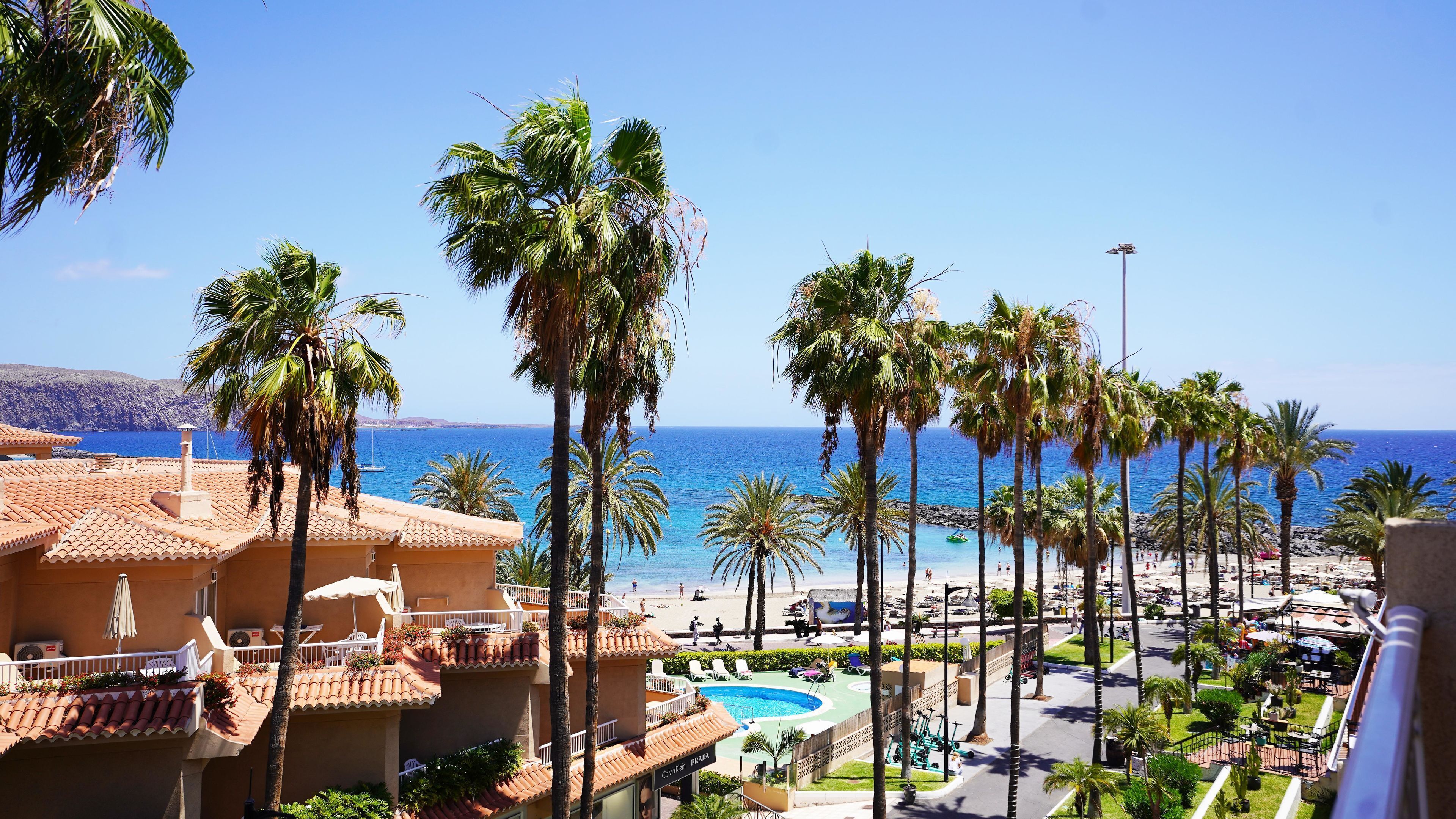 Un resort con piscina, palmeras y vista al mar.