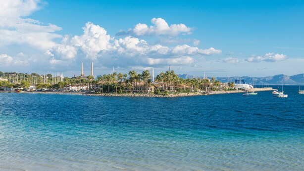 A coastal view with a marina, palm trees, and buildings along the shore. - Alcudiamar Marina Residence (Alcúdia)
