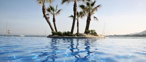 Ein Swimmingpool mit klarem, blauem Wasser, umgeben von Palmen und im Hintergrund eine Ansicht auf Boote und eine Brücke.