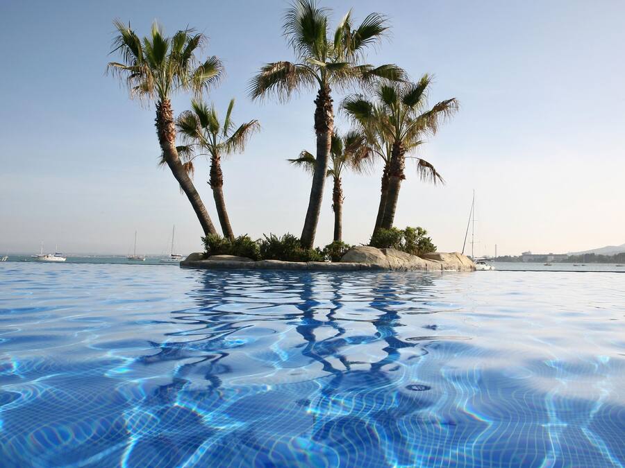 A swimming pool with clear blue water, surrounded by palm trees and a distant view of boats and a bridge.