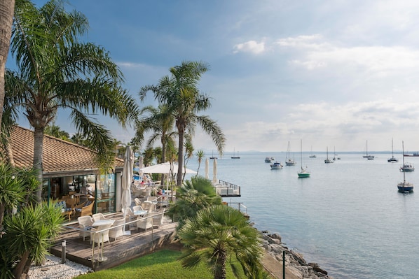 Un patio frente al mar con mesas al aire libre, palmeras y vistas a barcos en el agua.