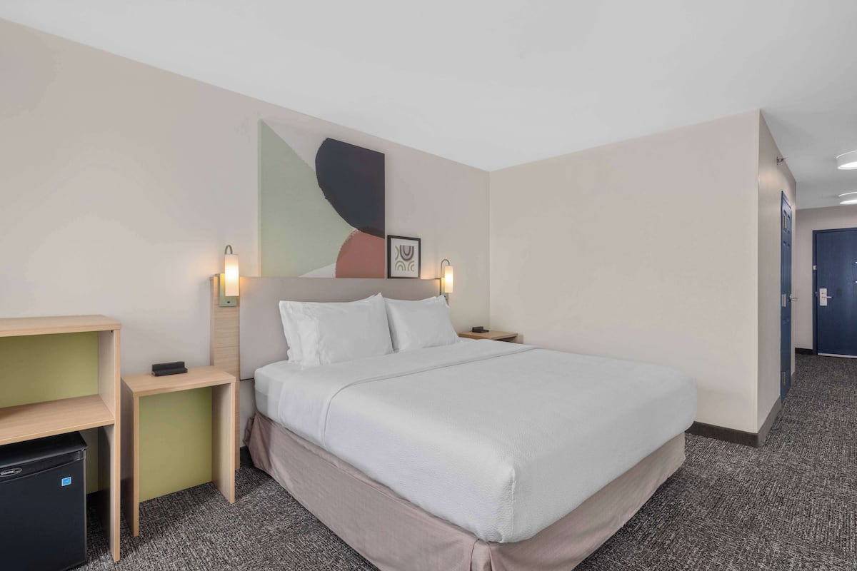 A hotel room with a bed, bedside tables, a desk, and a trash bin.