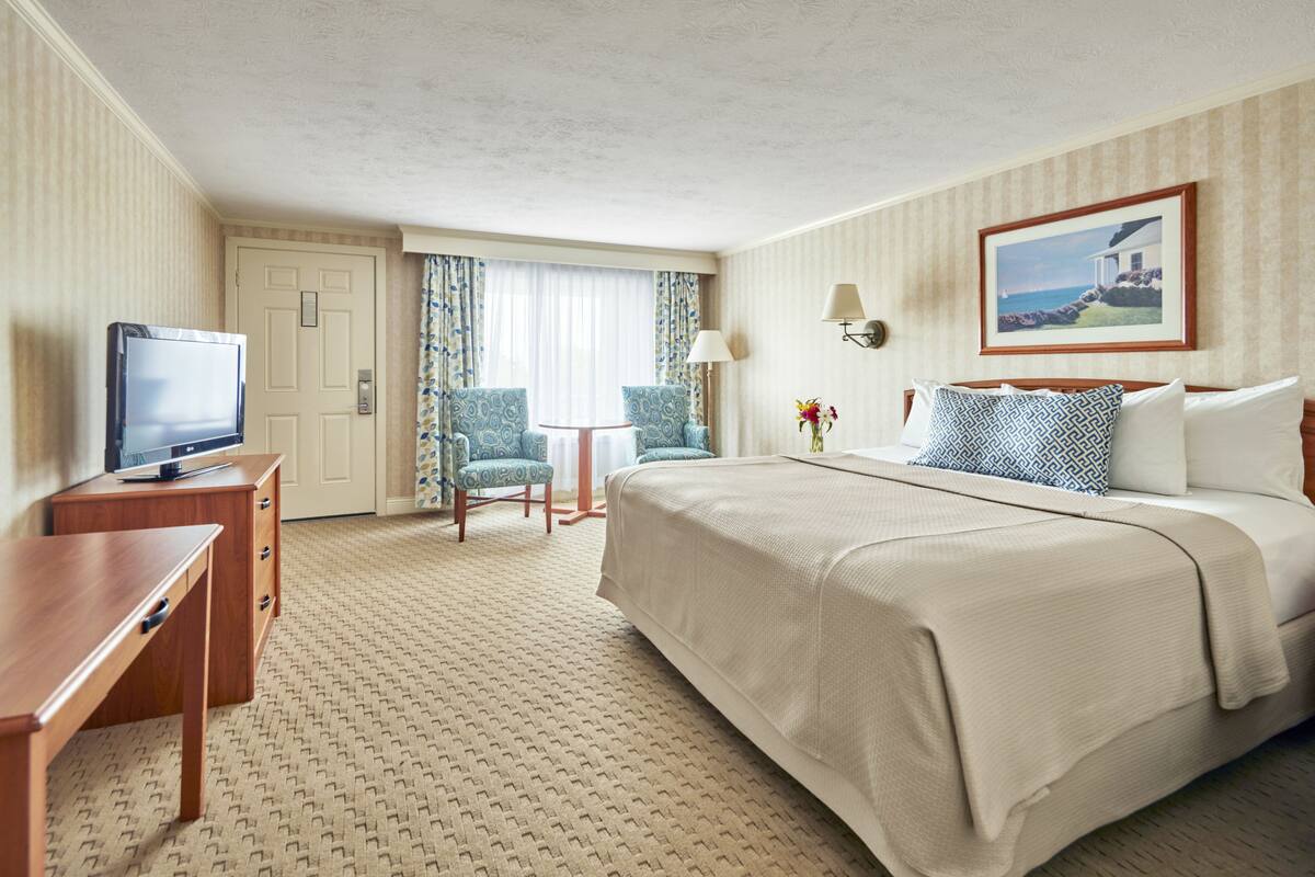 Une chambre d’hôtel avec un lit, un bureau, une télévision, une chaise et une lampe.