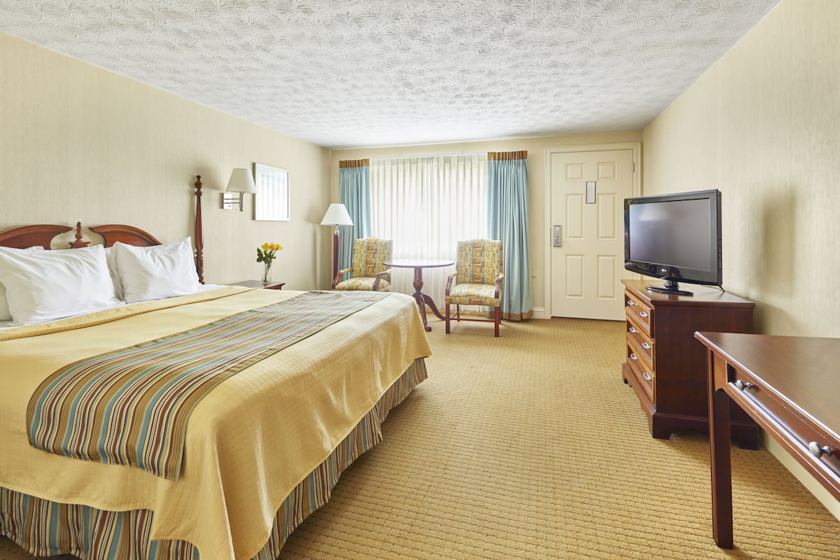 Une chambre d’hôtel comprenant un lit, une télévision, un bureau, deux chaises, une lampe et une fenêtre avec des rideaux.