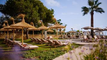 Terras
