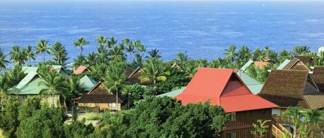 A coastal resort with multiple bungalow-style buildings, palm trees, and a view of the ocean.