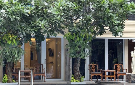 A poolside area with a seating arrangement and a large tree providing shade.
