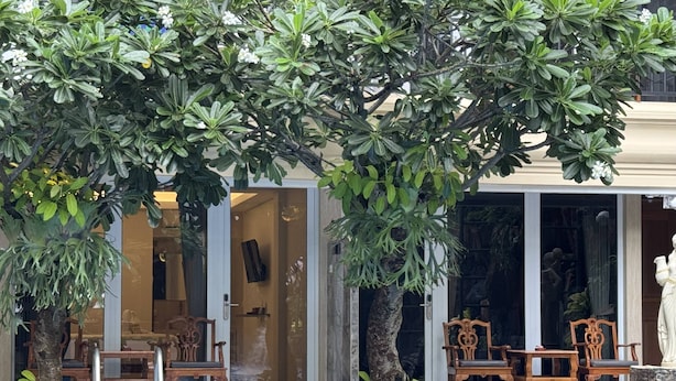 Un espace aménagé au bord de la piscine, avec des sièges et un grand arbre qui offre de l’ombre.