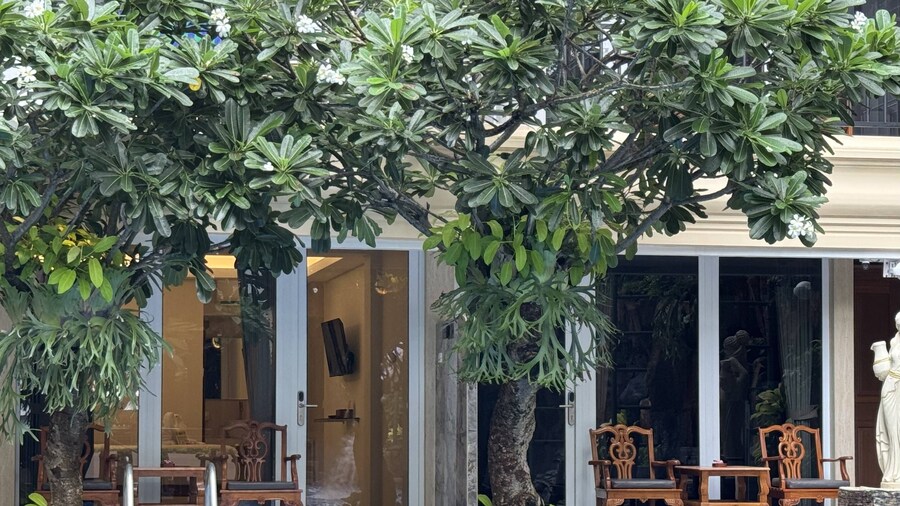Green Garden Hotel
