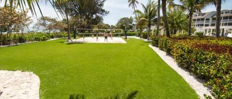 A well-maintained lawn with a volleyball net, surrounded by palm trees and a building in the background.