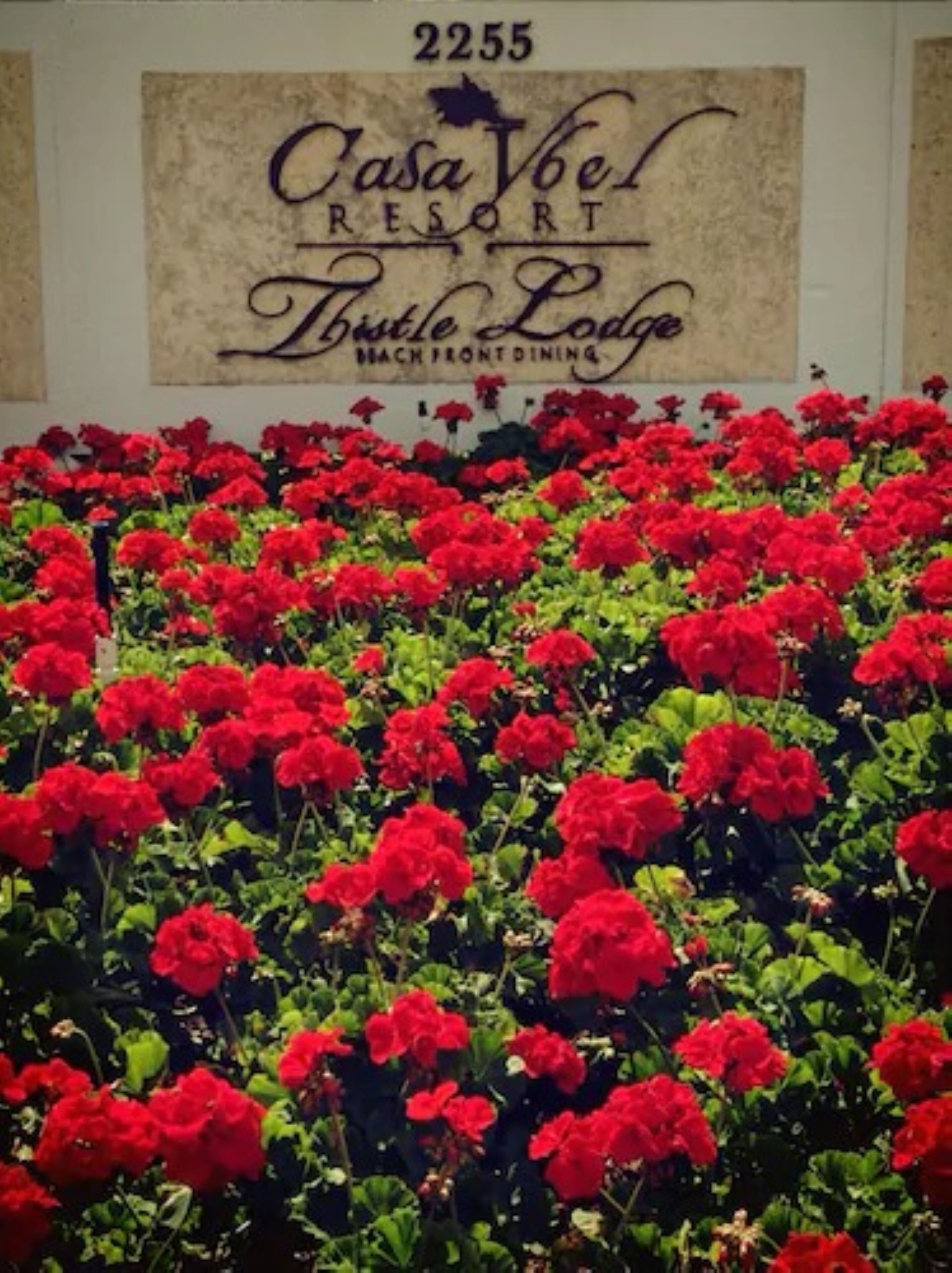 A sign for Casa Vele Resort's Beach Front Dining area, surrounded by vibrant red flowers.