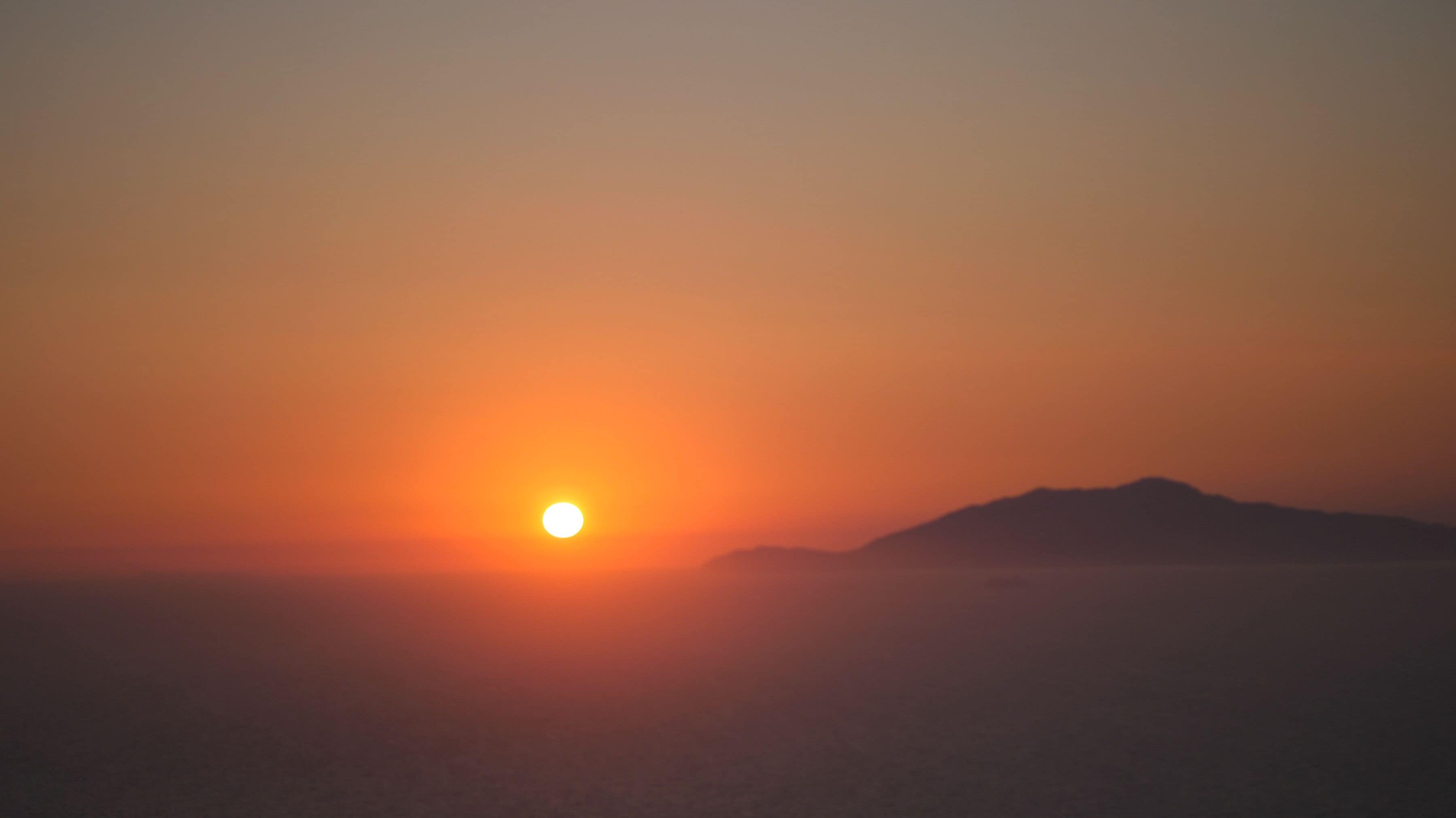 Foto - Hotel Il Girasole