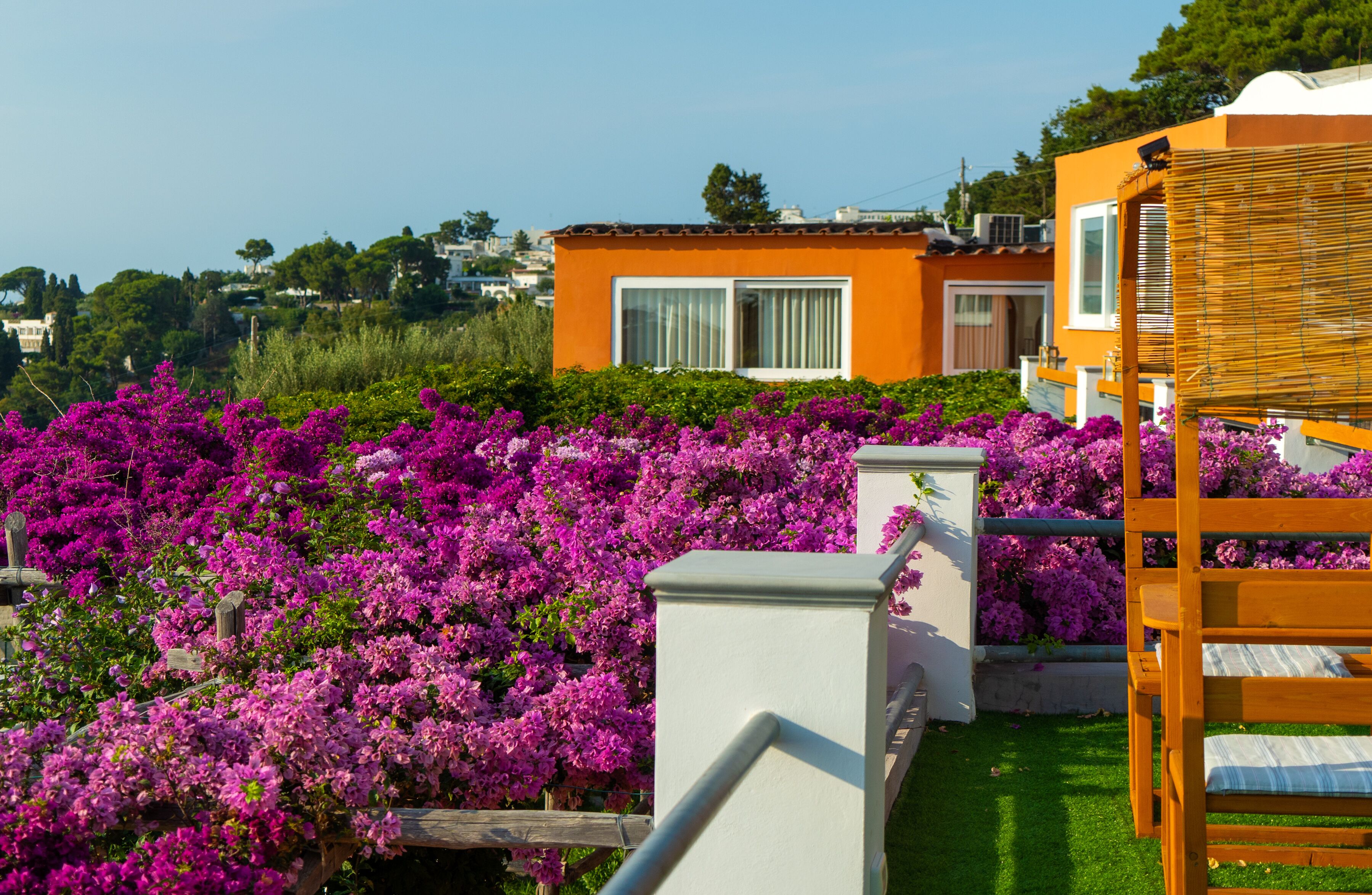 A residential building with a balcony, surrounded by vibrant purple flowers.