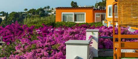 A residential building with a balcony, surrounded by vibrant purple flowers.