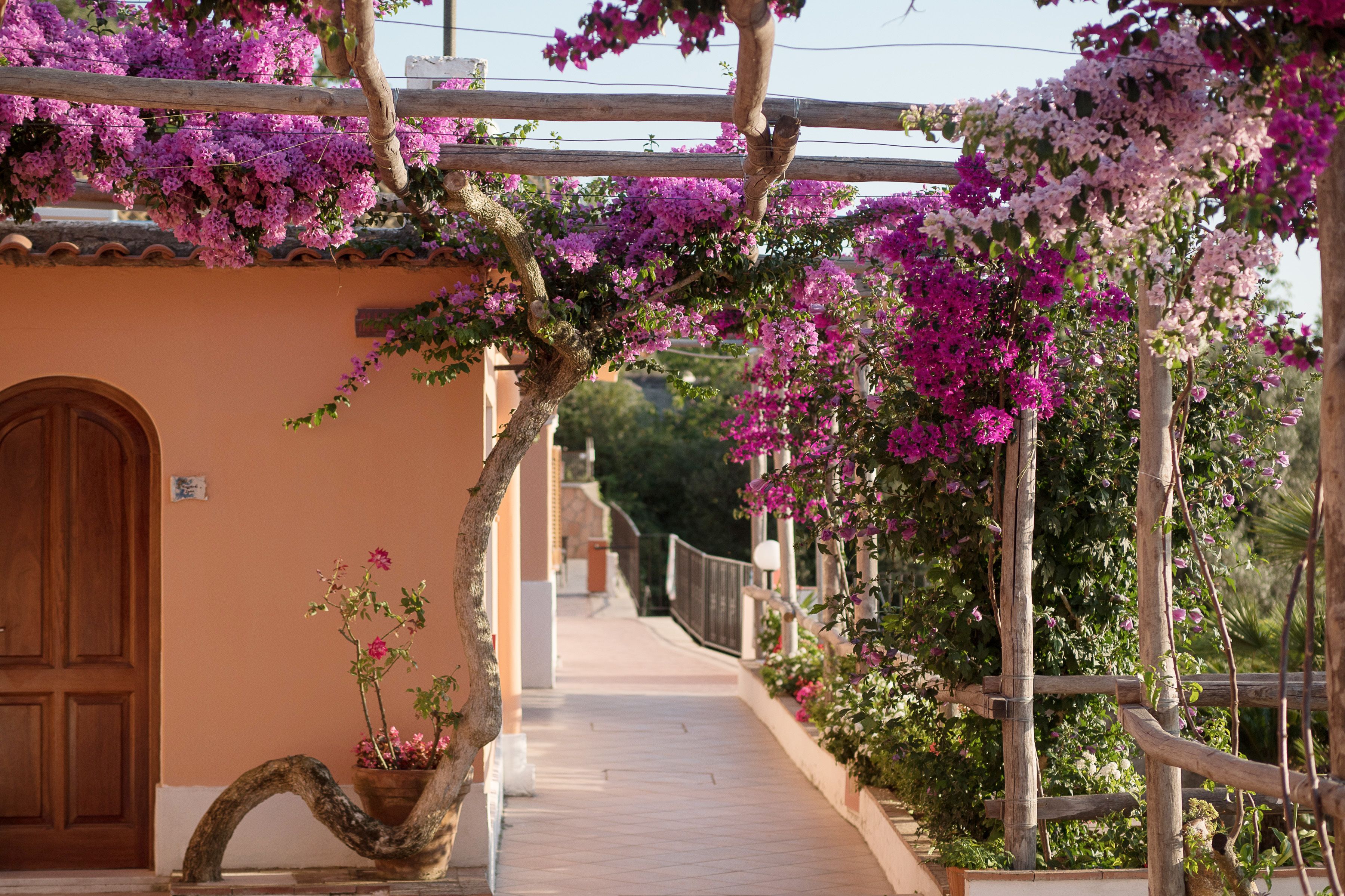 Foto - Hotel Il Girasole