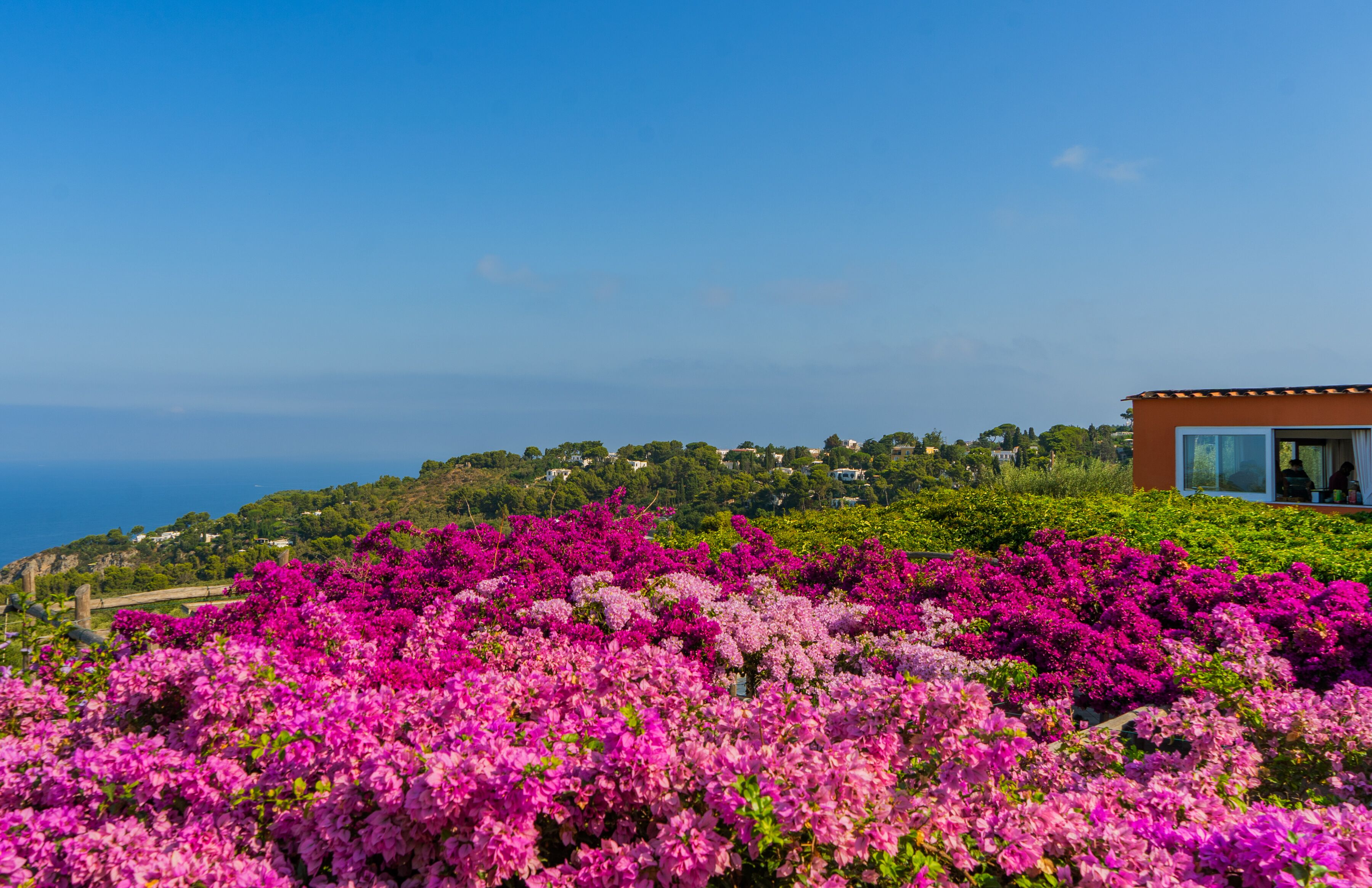Foto - Hotel Il Girasole