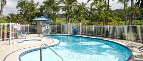 Una piscina con borde de azulejos azules, rodeada por una valla blanca y palmeras al fondo.