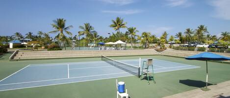 An outdoor tennis court with a net, surrounded by palm trees and a clear sky.