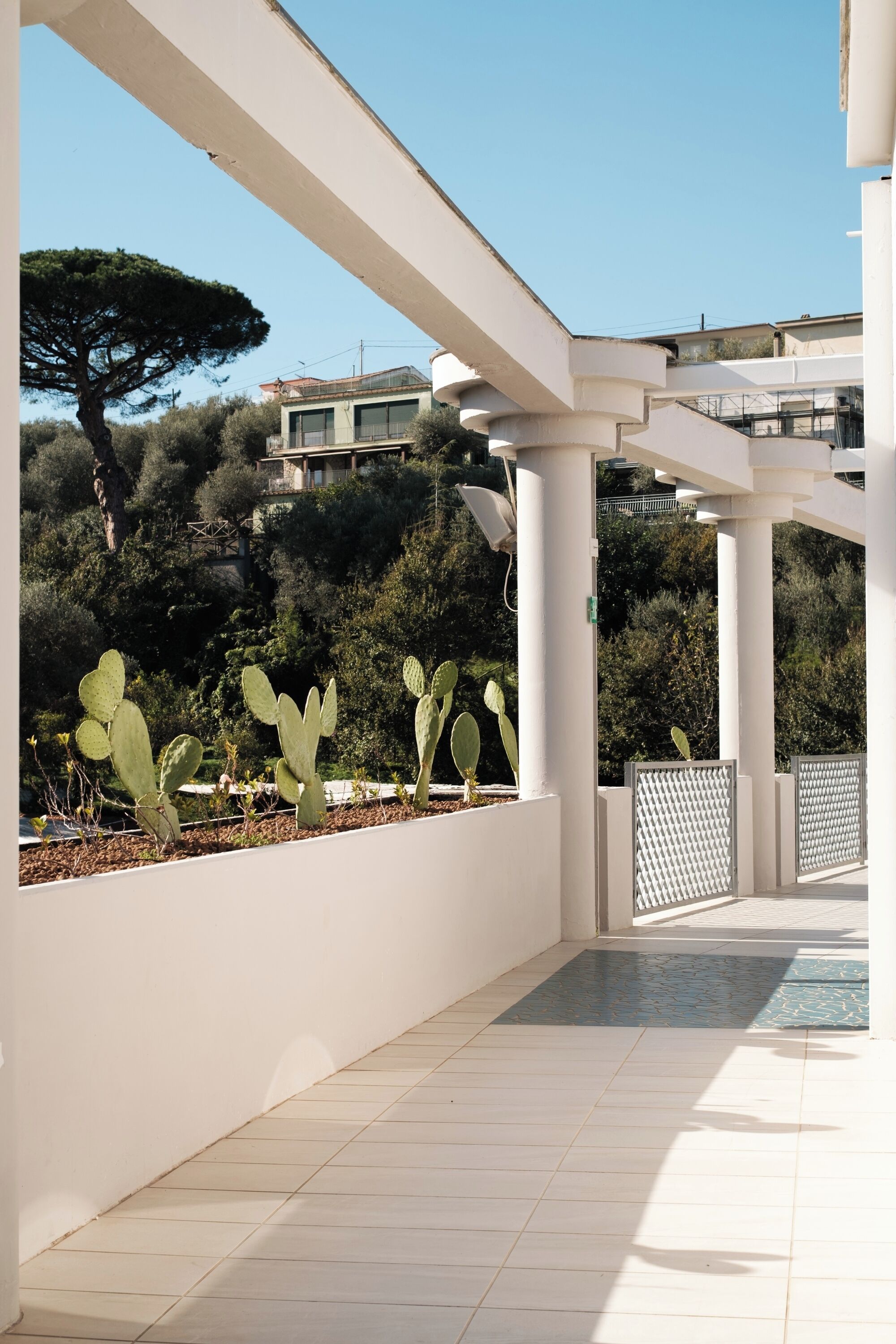 A covered outdoor area with white columns, a cactus garden, and a view of a hillside with trees and buildings.