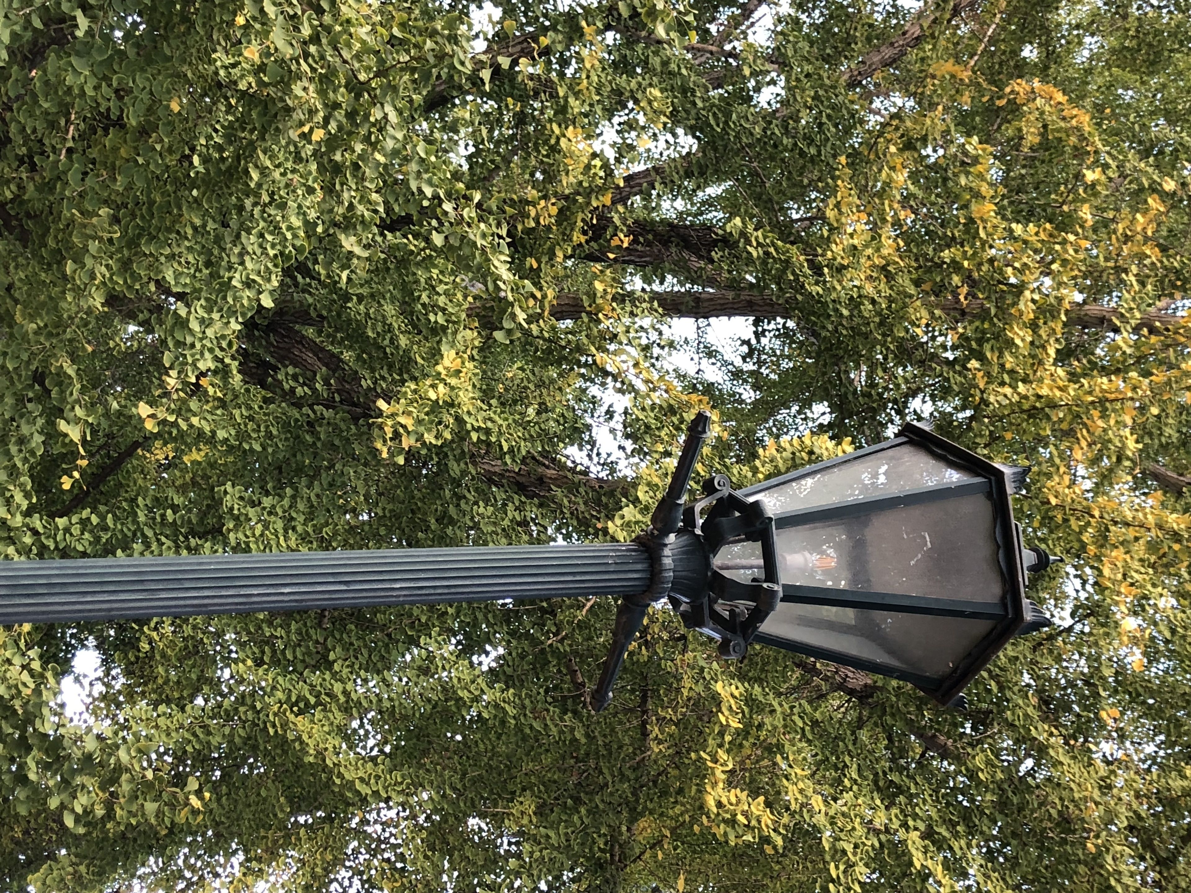 A street lamp with a hexagonal design, mounted on a vertical pole.