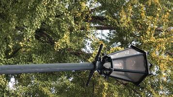 A street lamp with a hexagonal design, mounted on a vertical pole.