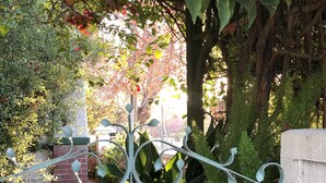 A metal gate with intricate designs, surrounded by lush greenery and a brick wall. - Meramie Motor Inn (Albury)